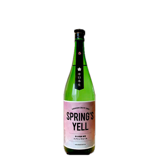 雑賀 スプリングエール1800ml