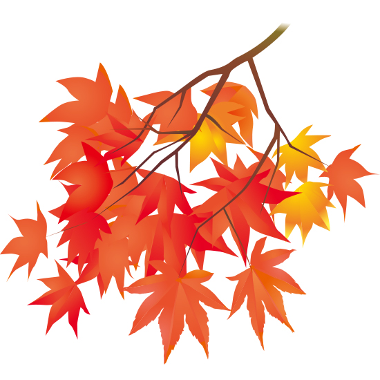 季節のお勧めを更新しました。