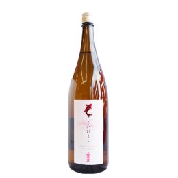上喜元 こいおまち50 1800ml